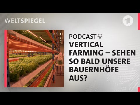 Spiegeleier aus der Tube – Ernährung der Zukunft | Weltspiegel Podcast