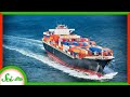 Understanding Ocean Tides and Human Impact