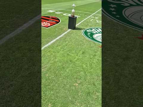 FINAL definida #futebol #libertadores #viral #ecosdaarquibancada #futebolbrasileiro #final #shorts