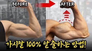 '팔 사이즈' 키우려면 당장 '이 운동' 하세요!