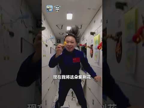 “紫荆花是香港的区花，也是我思念家乡的寄托。”9月9日，“天宫课堂・港澳专场”开讲。香港载荷专家黎家盈将金紫荆广场黏土手工，传递给指令长朱杨柱。紫荆花开处，家国同心时 | CCTV中文 #shorts
