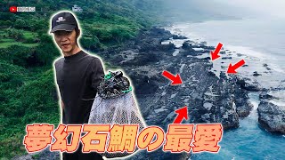 【趕海】夢幻石鯛的最愛在哪裡？與石鯛組釣友一起去尋找石鯛釣餌，體驗趕海的樂趣 2024/03/24