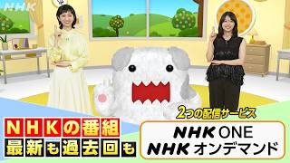 動画サムネイル