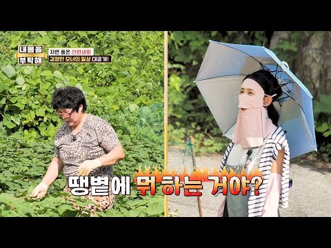 밭일할 땐 <strong>자외선</strong> <strong>차단</strong> 필수! 엄마를 위한 딸 김정민의 선물 | 내 몸을 부탁해 51회 | JTBC 260924 방송