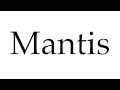 Mantis Video Content Overview