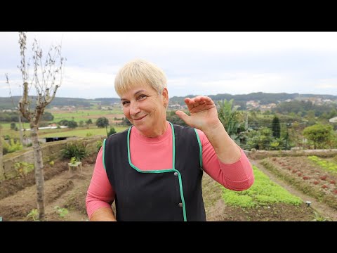 A Casa Está a Mudar! A Reformar o Terreno e a Preparar o Futuro!