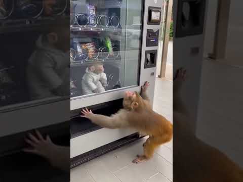 Who did this?! 😡 Poor baby 🥺 #mother #mom #love #hero #animallove #fyp