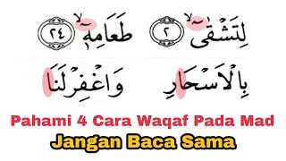 Pahami, 4 Cara Waqaf Pada Huruf Mad, Jangan Baca Sama Agar Lancar Baca al-Qur'an
