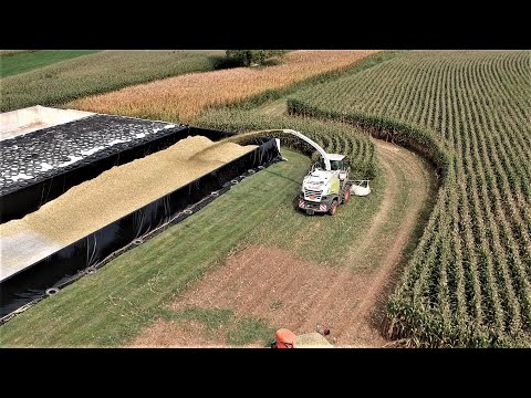 Corn Silage Harvest Efficiency