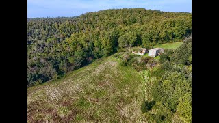 REF.600 Tuscany Property for Sale | 20 Hectares + 2 Farmhouses to Renovate with Volterra View