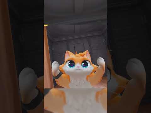 ¿Así es la cara del Gato VR?😮 #quest2 #vr #simulation