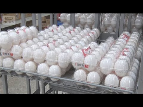 2025年の卵価格予測と供給状況｜鳥インフルエンザ影響で高水準維持のおそれ サムネイル