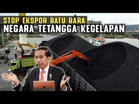 NEGARA TETANGGA PANIK !! Indonesia Akan Stop Ekspor Batu Bara Dalam Waktu Dekat | Fakta Militer