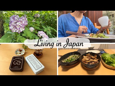 outing to Kamakura for hydrangeas, simple version of Korean BBQ for two | living in japan
