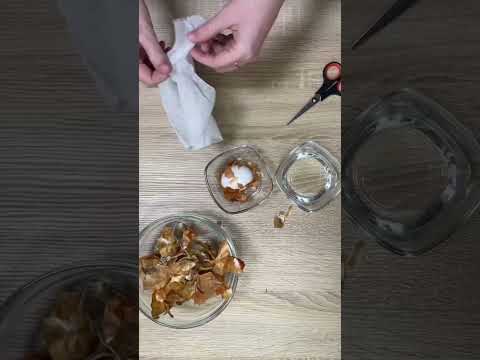 Traditional Easter Egg Coloring in Natural Way #shorts #easter #easteregg