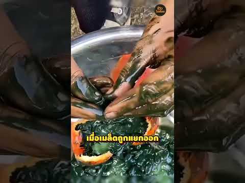 ผลไม้สุดแปลก
