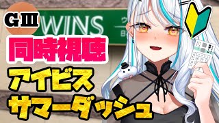 【 Vtuber 競馬予想 】 アイビスサマーダッシュ 2024 予想‼ 国内唯一の『直線』重賞‼夏の短距離王は…？ データ予想 チェイスザ
