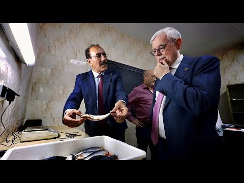 YouTube video thumbnail: The EU-Mauritania Fisheries Deal Explained