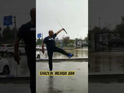Shaolin Meihua Jian #wushufight #martialarts #shaolinkungfu #kungfu #shifukanishka #damojian