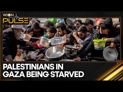 Gaza: Starvation In The Region Escalates, Hunger & Malnutrition Killing Children | WION