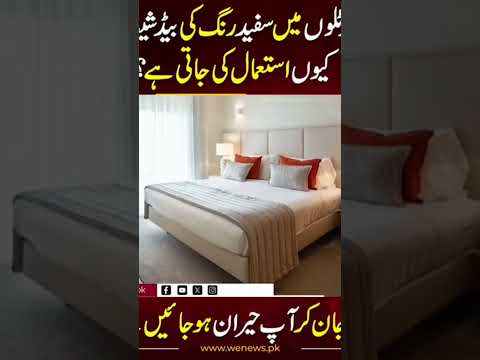 “Why Do Hotels Use White Bed Sheets🤔 #news