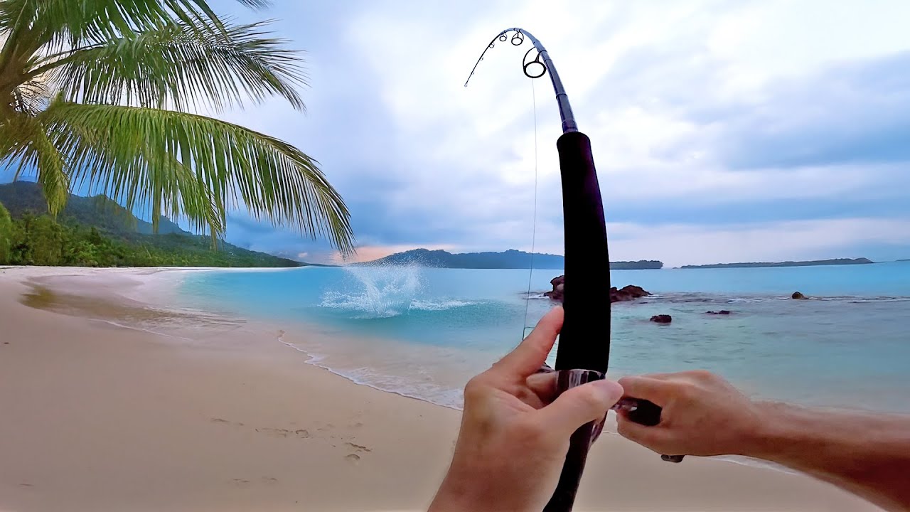 I found the Best Fishing spot on a Secret Hidden Beach - Cavy Fishing