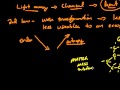 Connections Between Thermodynamics, Photosynthesis, and Cell Respiration