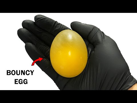 Making a bouncy egg by dissolving its shell