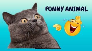 New Funny Animals 😂 Funniest Cats and Dogs Videos 😺🐶 #fails #failarmy #funny #videos