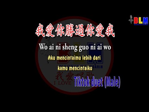 Wo ai ni sheng guo ni ai wo – 我爱你胜过你爱我 (COWOK) – Tiktok Duet – Karaoke – Terjemahan – Pinyin – Lirik
