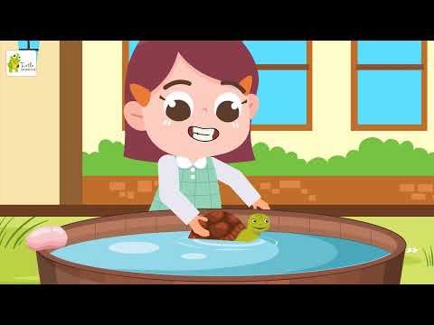 Tiny Turtle Tim | Nursery Rhyme for Kids | Fun Animated Song