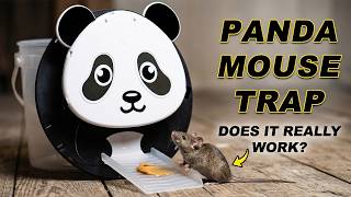 Catching Mice with a PANDA? Humane Bucket Trap Review - Mousetrap Monday.