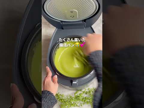 【腸活パン】混ぜるだけ！ふわっもちっ抹茶蒸しパン