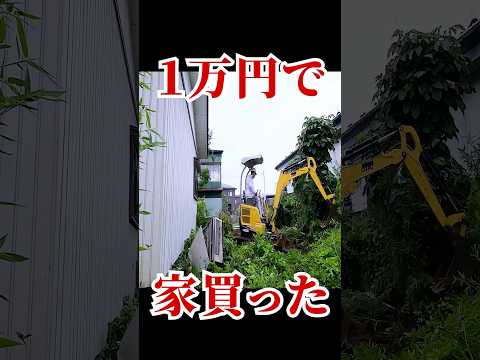【1万円の家】ヤバい庭を、ユンボで開拓した結果...