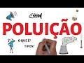 Causas e Efeitos da Poluição