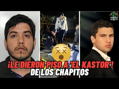 "¡Atención! 📹Se filtra video dọnde le dieron piso a 'El Kastor' фperador de los Chαpitos💣"