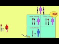 Genetic Probability in Offspring