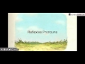 Indefinite and Reflexive Pronouns Challenge