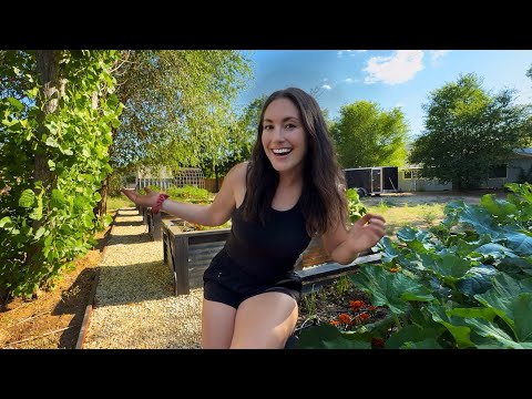 Growing My Own Food