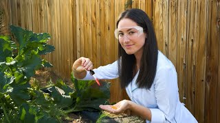 I Tried Growing My Own Food… Here’s What Happened