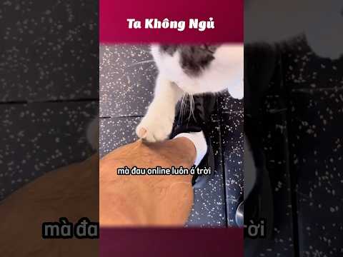 Nỗi khổ chung của con sen 🥲 #takhongngu