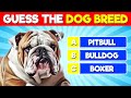 Dog Breed Identification and Characteristics