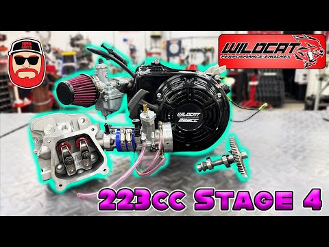 Wildcat 223cc Stage 4 Install & Dyno ~ Big HP Gains
