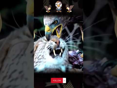 النسر تفقس عيون القط شاهد #shorts