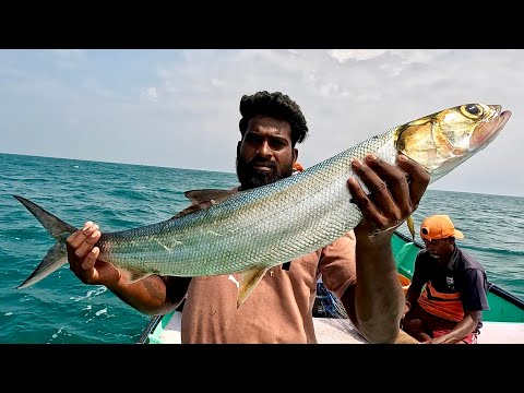 Catching Lady Fish, Grouper & Barracuda in the Sea