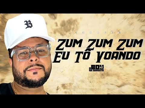 ZUM ZUM ZUM EU TÔ VOANDO ( VERSÃO SERESTA TALITA MEL ) 2025