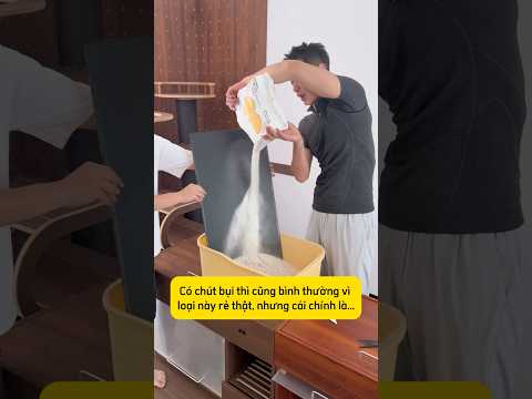 Test cát vệ sinh cho mèo: quay liền mạch không cắt ghép #thucung #catlitter #mèo #nuoimeo #boss