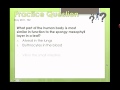 Plant Structure and Function Concepts