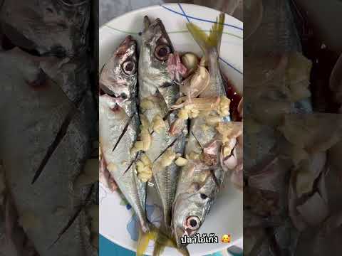 5กุมภาพันธ์2568 ยุ้ย สะใภ้ระยอง 5กุมภาพันธ์2568