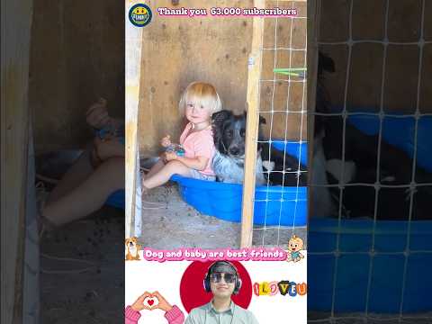 Dogs And Baby Are Best Friends 🥰🐕赤ちゃんと犬 #dog #赤ちゃん #baby #bestfriend #元気になる動画